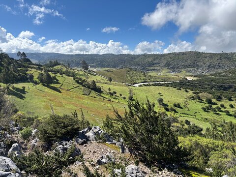Valle