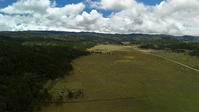 valle verde