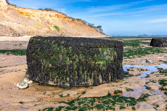 Pill boxes that now sit in the sea after cliff erosion. Shoy 21 Sept 2026.