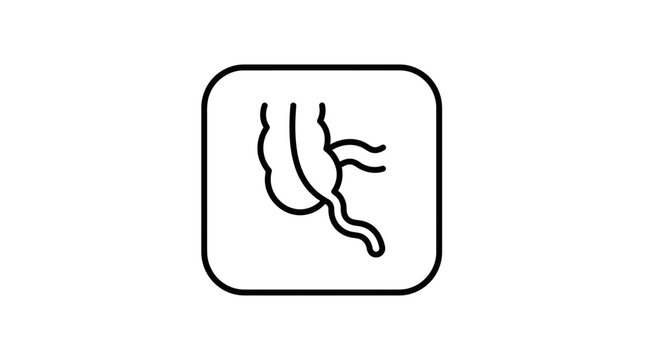 Colon icon isolated on transparent background, medical illustration