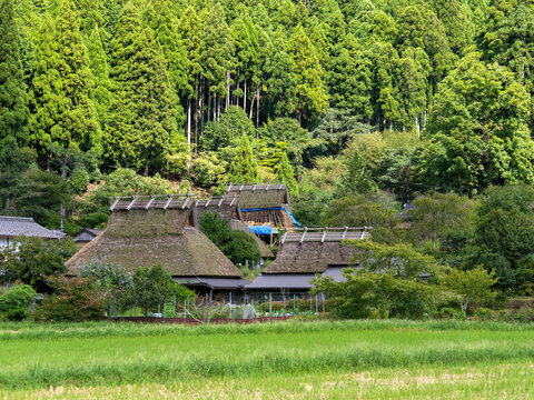 葺き替え作業が行われる茅葺き屋根の古民家