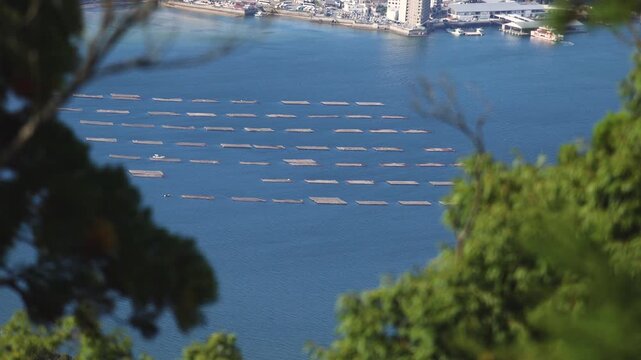 Oyster raft farming in Hiroshima Bay, Seto Inland Sea, Japan, aerial view of aquaculture rafts on water, Miyajima Island, Hiroshima Prefecture, Chugoku, seafood industry, rows of rafts. shellfish farm