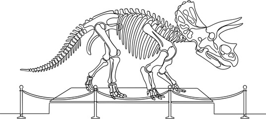 Complete triceratops dinosaur skeleton fossil displayed on a museum platform outline. © farhan