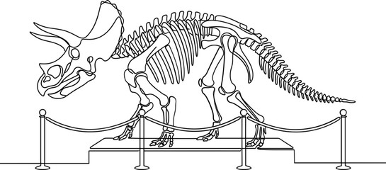 Line art of a triceratops dinosaur skeleton on display in a museum exhibit. © farhan