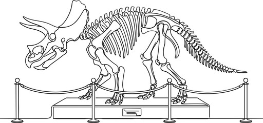 detailed black and white line art vector illustration of a triceratops dinosaur skeleton on a museum display podium. © farhan