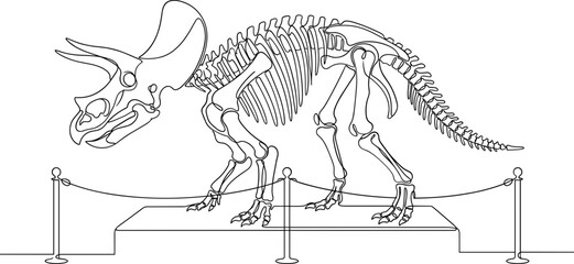 Line drawing of a Triceratops dinosaur skeleton on display in a museum. © farhan