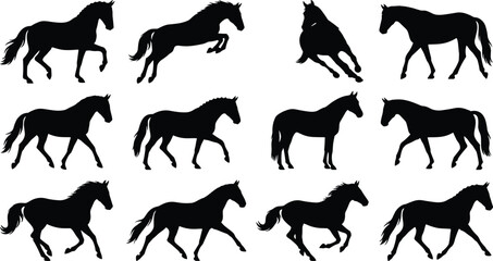 Obraz premium Collection of Black Horse Silhouettes in Various Poses Running Walking Trotting Standing