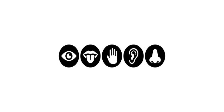 Five human senses represented by simple black circular icons for education health and biology study materials.