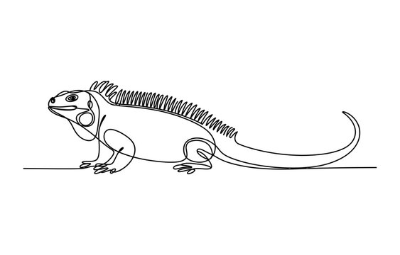 Continuous single line drawing of an iguana lizard standing in profile view