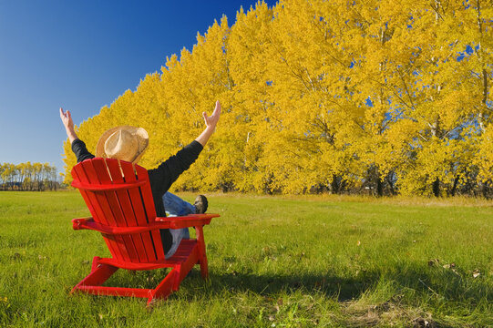a man sits in a chair at the edge of a hay field with a shelterbelt in autumn colors in the background near Dufresne, Manitoba, Canada