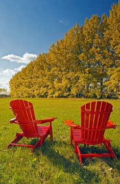two chairs at the edge of a hay field with a shelterbelt in autumn colours in the background near Dufresne, Manitoba, Canada