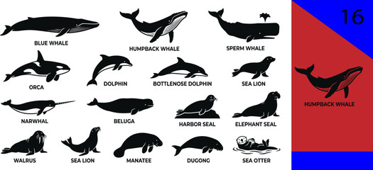 Black marine mammal silhouette icons set whale humpback orca dolphin lion narwhal beluga seal walrus manatee dugong otter editable vector © MD SABBIR HOSSAIN