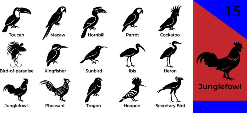 Black tropical bird silhouette icons set toucan macaw hornbill parrot cockatoo kingfisher ibis heron junglefowl pheasant trogon secretary editable vector