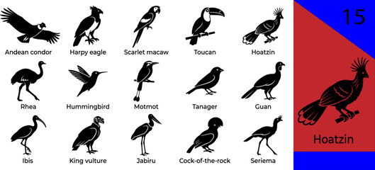 Fototapeta premium Black South American bird silhouette icons set condor harpy macaw toucan hoatzin hummingbird motmot tanager ibis jabiru seriema editable vector