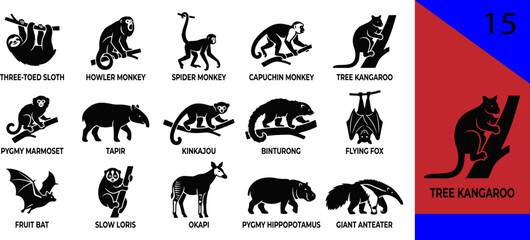 Obraz premium Black tropical animal silhouette icons set sloth kangaroo marmoset tapir kinkajou binturong fox bat loris okapi hippo anteater editable vector