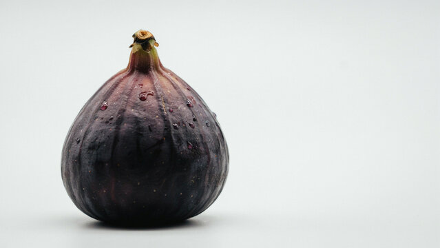 Single dark purple fig with water droplets on white background, fruit whole fig