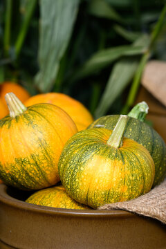 Fall decorative background, gold planter with burlap bag, small orange and green pumpkins, celebrate autumn, Halloween, and Thanksgiving
