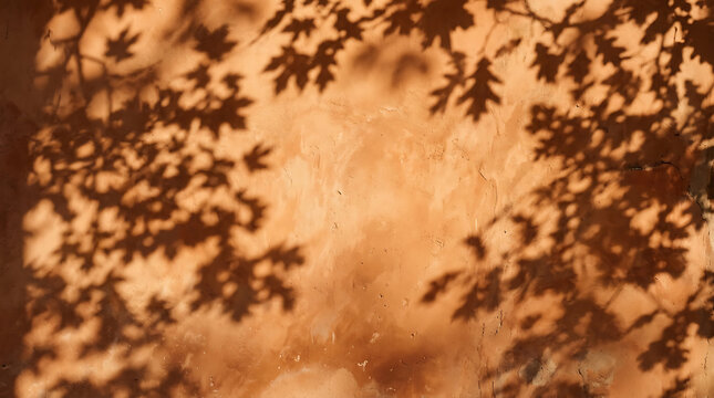 Sunlit oak leaf shadows dance gracefully on a warm, textured wall, creating an abstract and serene natural pattern