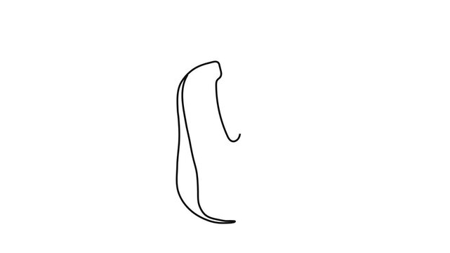 Continuous One Line Drawing of Computer Mouse, Minimalist Linear Outline Technology Hardware Animation on White Background