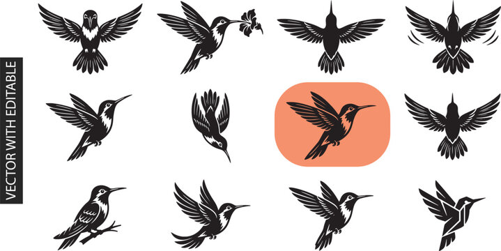 Hummingbird silhouettes collection features black bird icons flying and sitting for nature logos branding or decorative wildlife graphic design projects.