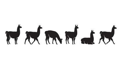 Fototapeta premium black color silhouette set of six llama vector illustration, solid white background