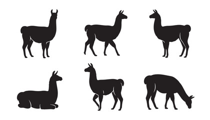 Fototapeta premium black color silhouette set of six llama vector illustration, solid white background