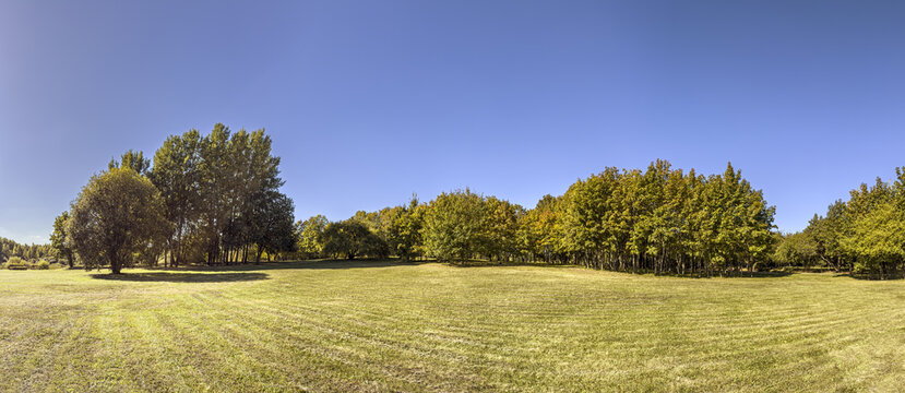 park trees on bright sunny day at early autumn. panoramic scenery.