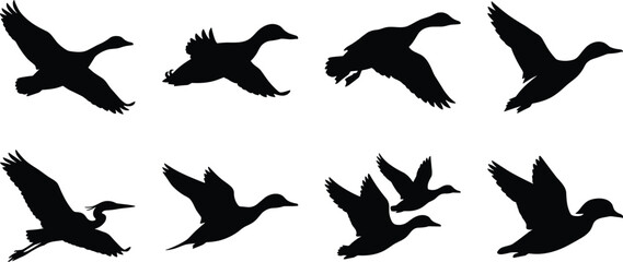Obraz premium Collection of black silhouette flying bird icons featuring ducks waterfowl geese and a heron in flight.