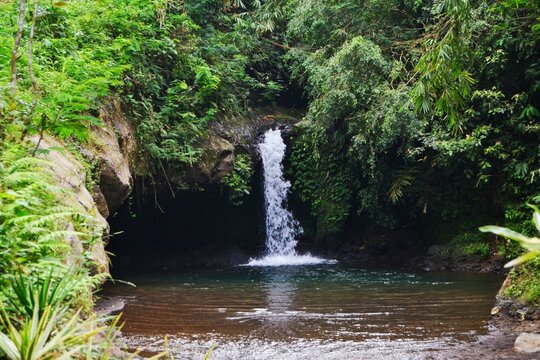 Small waterfall flowing into calm natural pool surrounded by dense green tropical forest, serene jungle landscape in Indonesia.