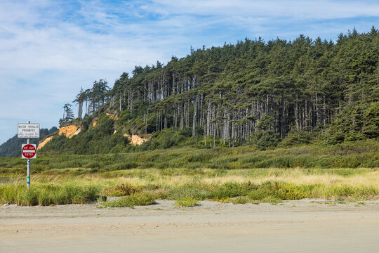 Do Not Enter and motor vehicles prohibited sign on the dunes at Copalis Beach, Washington, below a forested sandstone bluff and dune grass on a sunny day.
