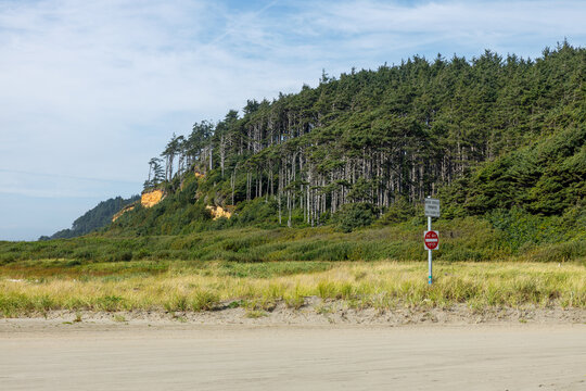 Forested headland with small sandstone cliffs receding into coastal haze above a flat sand beach and a Do Not Enter vehicle sign at Copalis Beach, Washington.