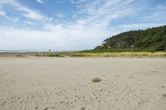 Footprints scatter across a wide empty beach at Copalis Beach, Washington, with a lone green plant, two Do Not Enter signs, distant surf and a forested headland.