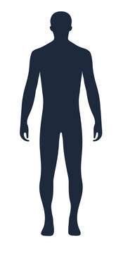 Slate Navy Human Body Silhouette Front and Back View for Anatomy, Healthcare, Fitness and Body Reference PNG.