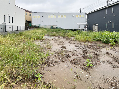 雑草や水たまりがある未舗装の空き地（更地）