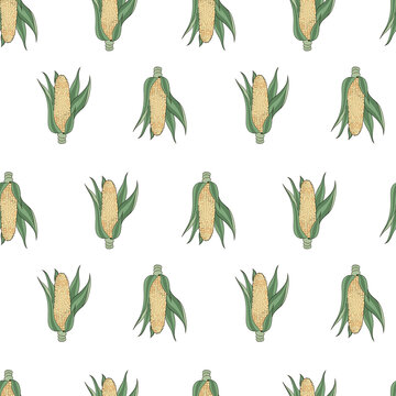 Yellow and Green Corn Cob Seamless Pattern Background