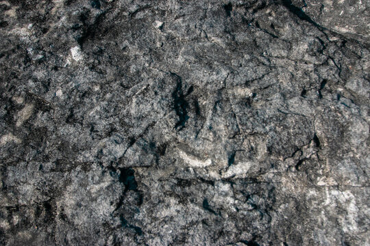 A close-up view revealing the shape, color, and texture of karst rock&mdash;which has weathered over centuries to a blackish-gray hue&mdash;making it highly relevant for research in geology
