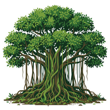 Flat vector illustration of a majestic old growth banyan tree with dense green canopy and extensive aerial roots, isolated on white background for ecological and nature-themed graphic design.