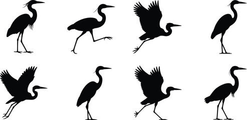 Obraz premium Set of black silhouettes of herons and cranes in various poses, including standing, walking, and flying, isolated on a white background, bird collection