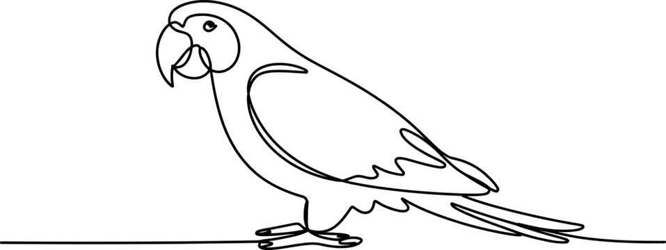 Continuous single line drawing of a tropical macaw parrot bird