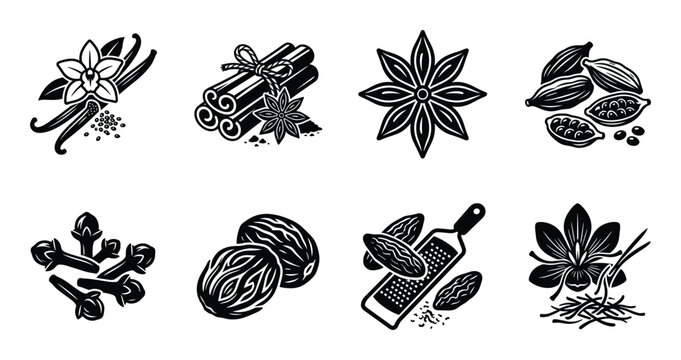 Natural spices vanilla cinnamon cardamom cloves nutmeg saffron vector icons