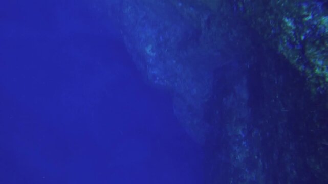 Diving down into deep blue ocean sea salt water under water world at where has strong dangerous current so no coral can grow on top of the reef rock with big giant boulder rock wall at side of passage