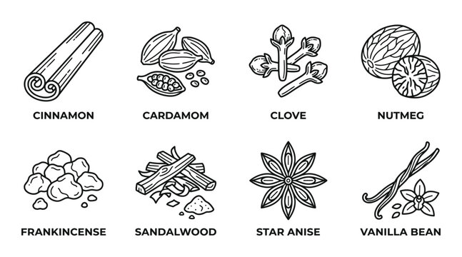 Spices and aromatics outline icons set with cinnamon cardamom clove and nutmeg