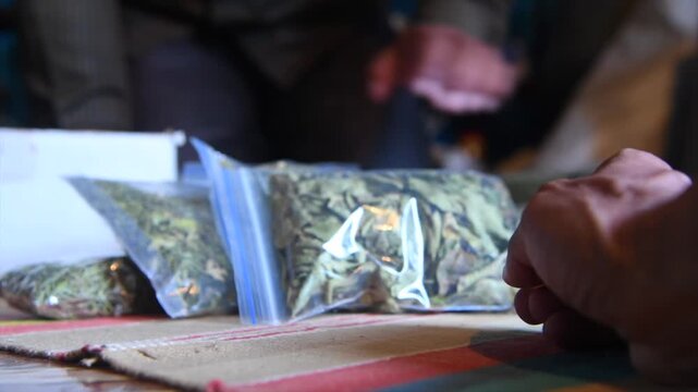 Packaged Dried Tejpatta or Indian Bay Leaves as Natural Herbal Product