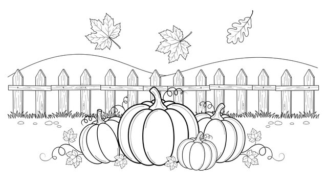 A cute cartoon pumpkin patch coloring-page illustration in pure black line art on white, with a cluster of pumpkins in the foreground, a picket fence across the midground, and autumn leaves drifting