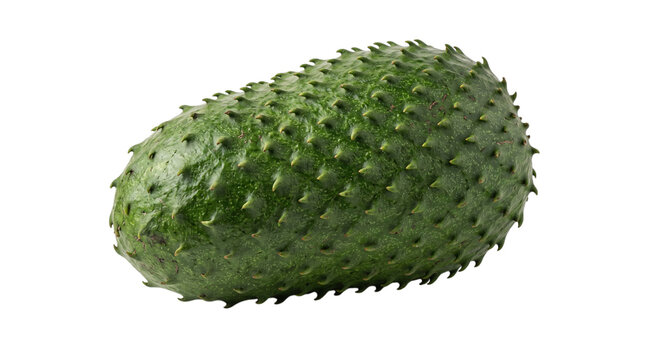 Green soursop fruit with spiky texture on isolated on transparent background