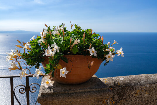 Terrace of Infinity inside the iconic Villa Cimbrone, historic villa in Ravello, on the Amalfi Coast