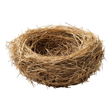 Empty bird nest made of dry twigs and straw isolated on white