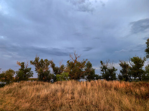 Dry Summer Meadow Beneath Wide Overcast Evening Sky