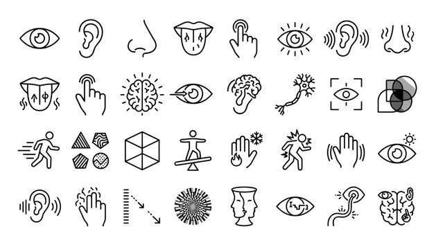 sensation, perception, and sensory processing line icon set - five senses, sensory organs, neurological perception, and stimuli .