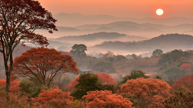 Sun rising over foggy mountains, vibrant autumn foliage, and trees in a serene valley
